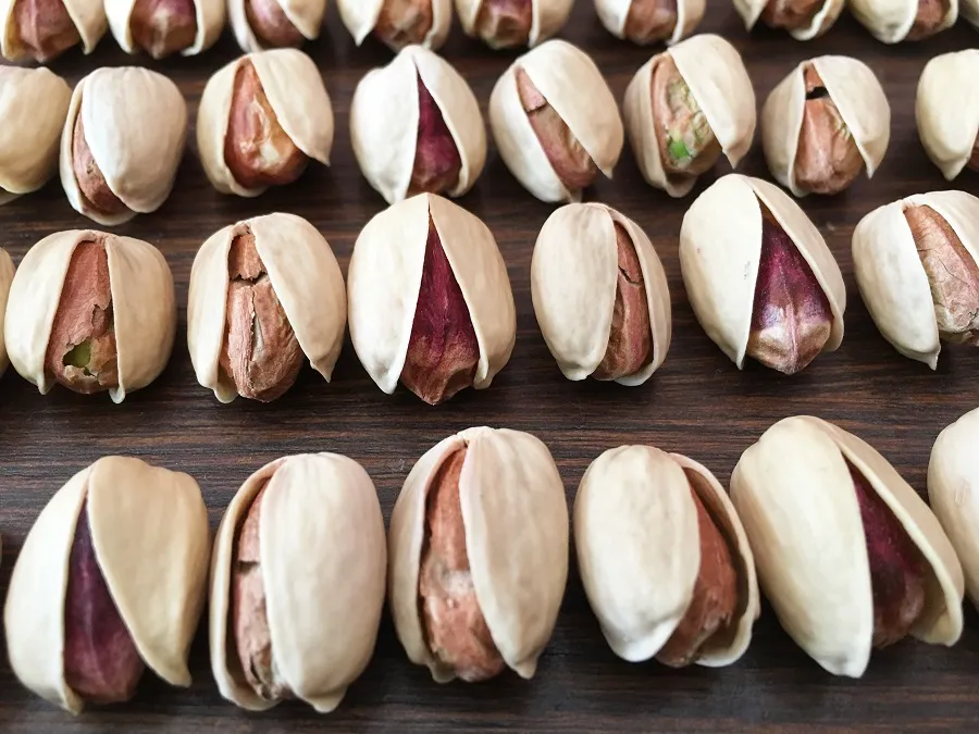 تصویر 3 از قیمت پسته کله قوچی + خرید باور نکردنی